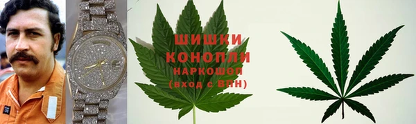 сатива Заводоуковск