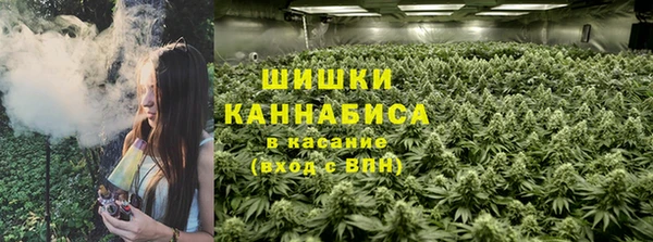 молекула духа Заволжье