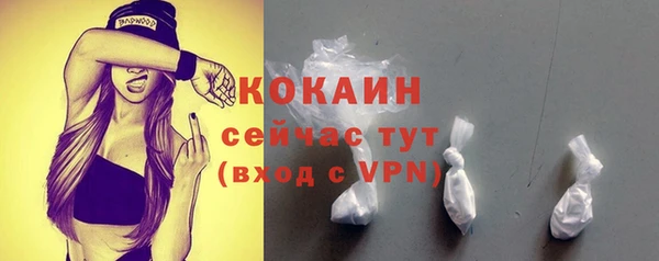молекула духа Заволжье