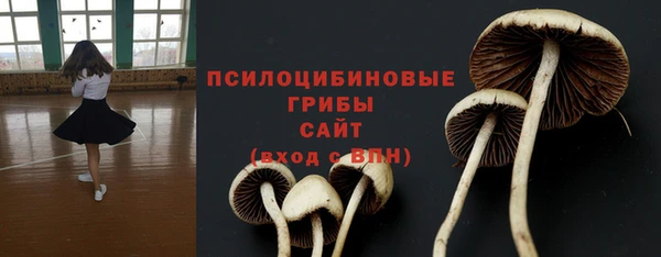 крисы Саяногорск
