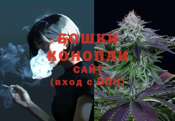 шишки Сафоново
