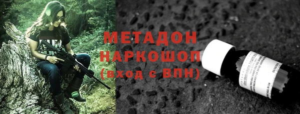 сатива Заводоуковск