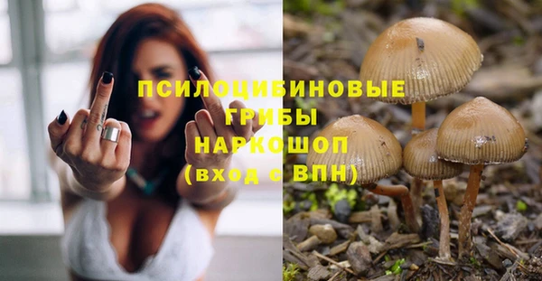 mdpv Заволжск