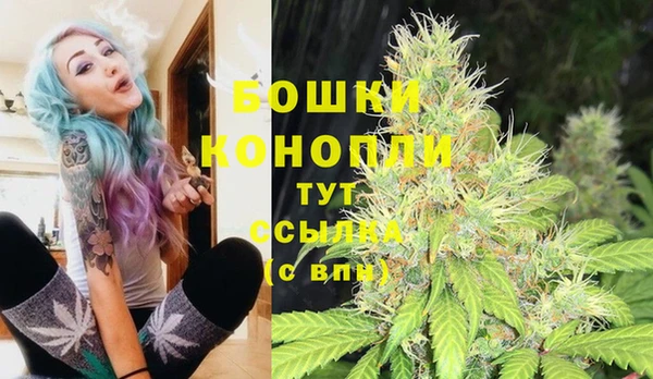 молекула духа Заволжье